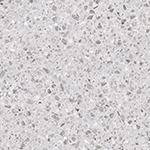 Terrazzo Traditional Cenere | AT2