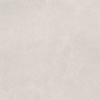 L1